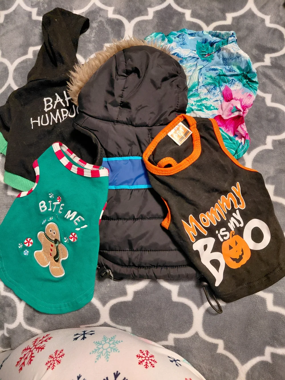 Set Of 5 Doggie Super Cute Clothing